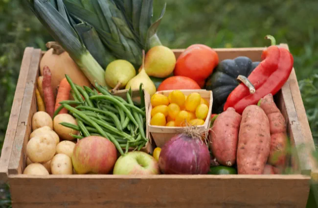 Small Farming Food Society.